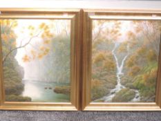 A pair of oil paintings, Peter McKay, Fairy Glen and Stockghyll Force, Lake District landscapes,