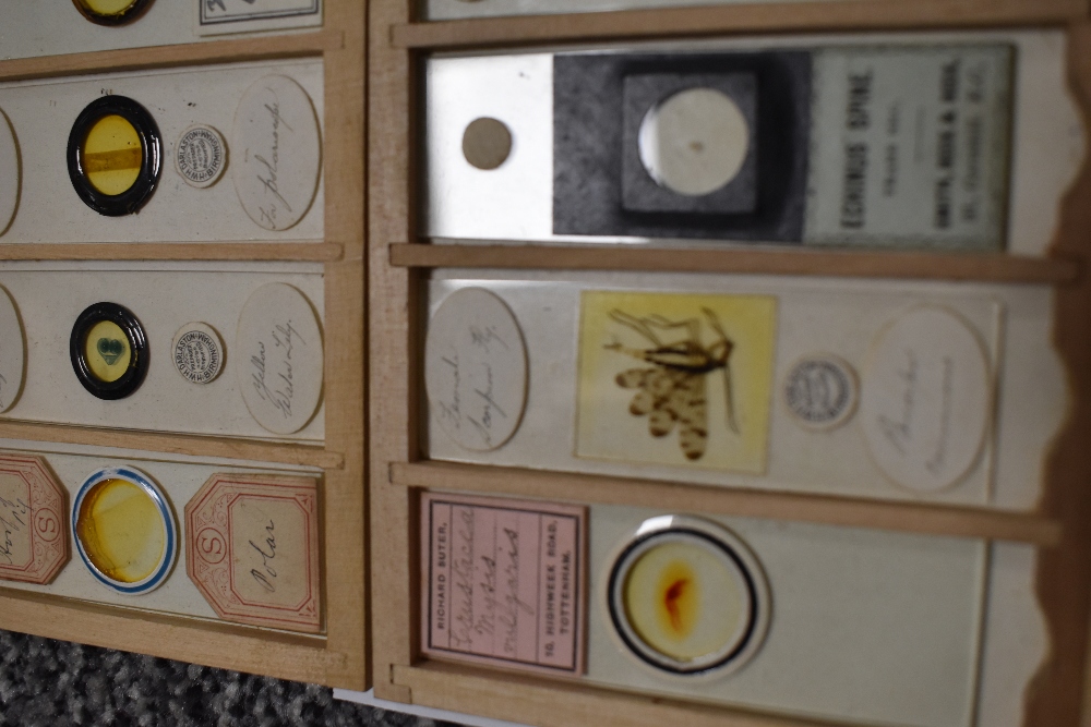 A fine selection of antique scientific microscopes and labeled slide sets natural history related - Image 14 of 16