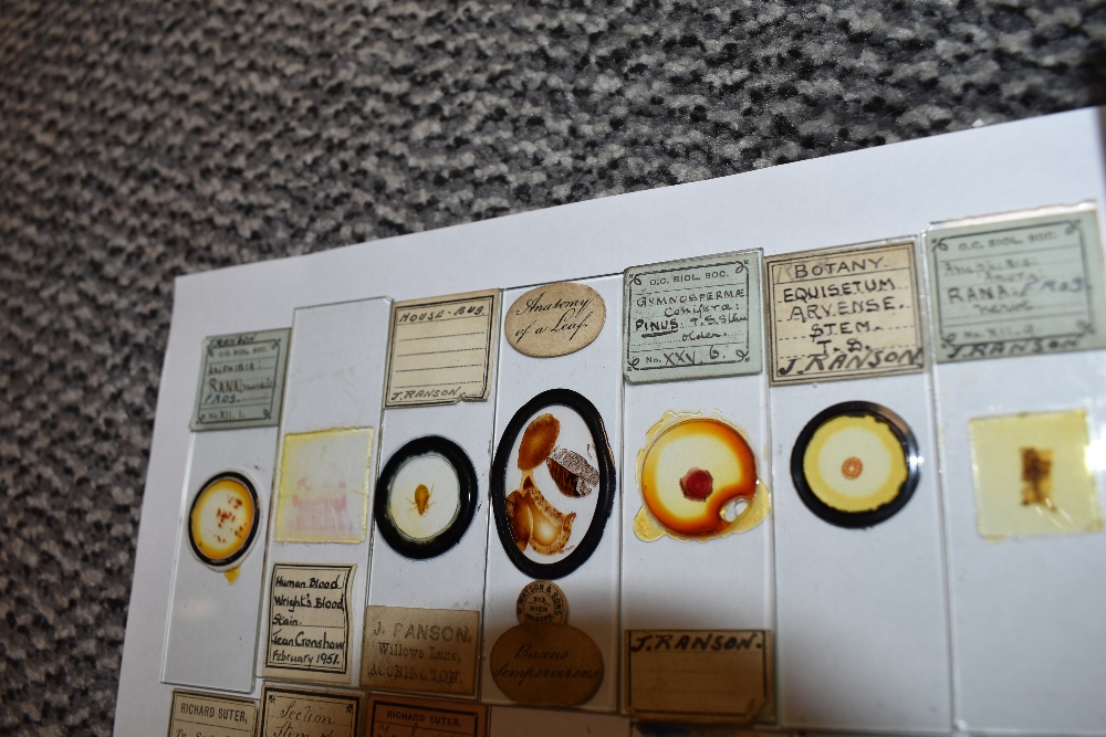 A fine selection of antique scientific microscopes and labeled slide sets natural history related - Image 3 of 16