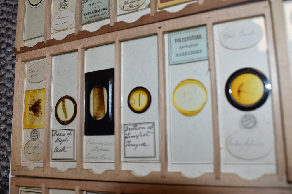 A fine selection of antique scientific microscopes and labeled slide sets natural history related - Image 10 of 16