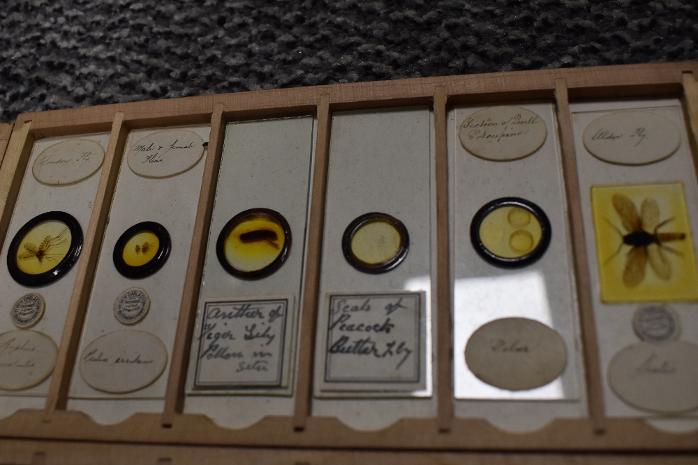 A fine selection of antique scientific microscopes and labeled slide sets natural history related - Image 11 of 16