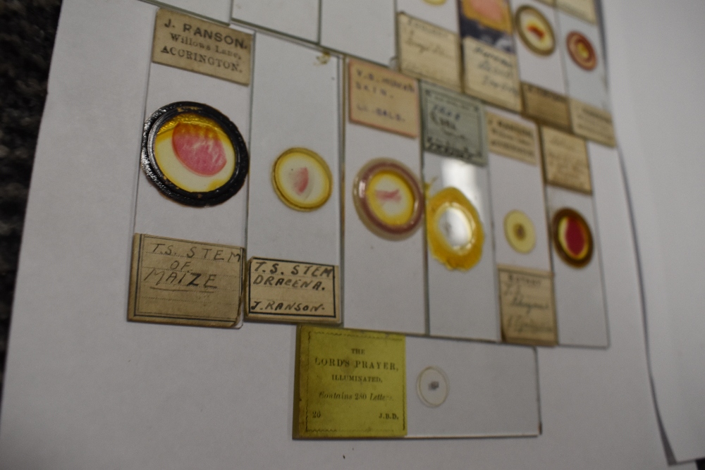 A fine selection of antique scientific microscopes and labeled slide sets natural history related - Image 5 of 16