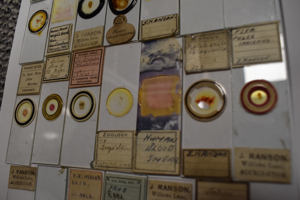 A fine selection of antique scientific microscopes and labeled slide sets natural history related - Image 4 of 16