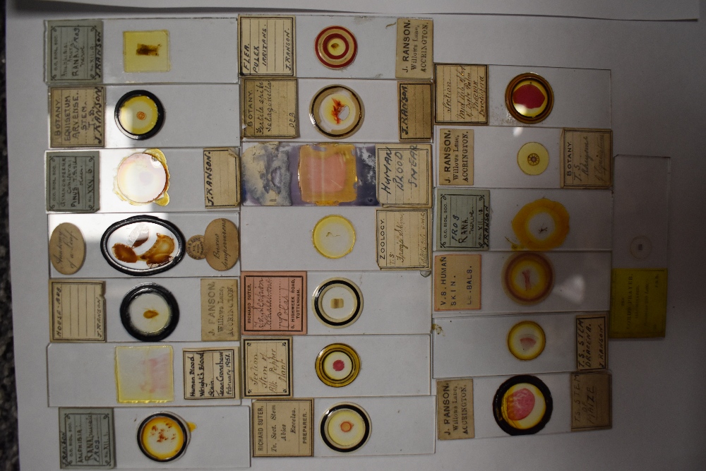 A fine selection of antique scientific microscopes and labeled slide sets natural history related - Image 2 of 16