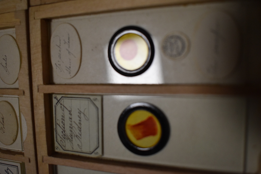 A fine selection of antique scientific microscopes and labeled slide sets natural history related - Image 15 of 16