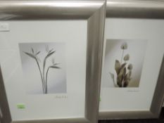 A print, W H, still life, 35 x 28cm, plus frame and glazed, a pair of prints, after Sardanu, still