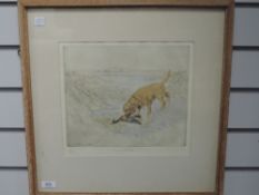 A Ltd Ed etching, after Vernon Stokes, retriever, num 57/75, 27 x 30cm, plus frame and glazed