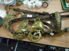 A selection of horse and similar show ground brasses and leather straps