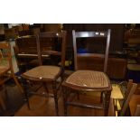 A pair of 19th Century stained frame cane seated bedroom chairs