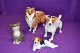 Three Beswick studies, Jack Russell Terrier 2023, Collie, Lochinvar of Ladypark 1791 and Persian