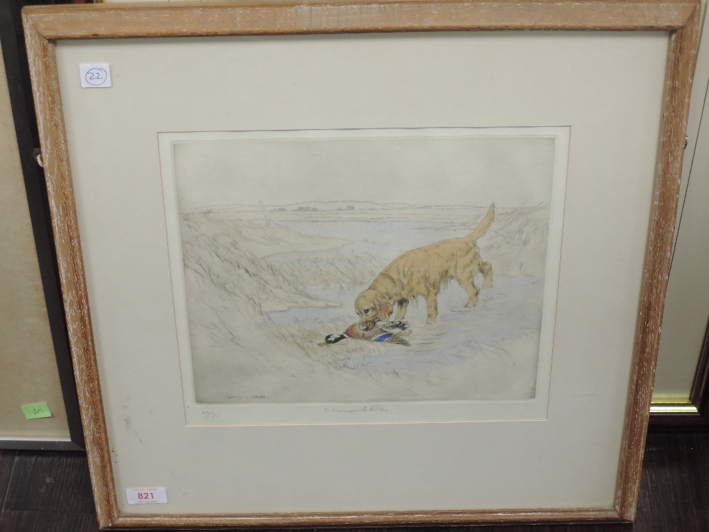 A Ltd Ed etching, after Vernon Stokes, retriever, num 57/75, 27 x 30cm, plus frame and glazed - Image 2 of 2