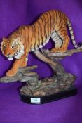 A large figure study of an Indian Tiger ready to pounce