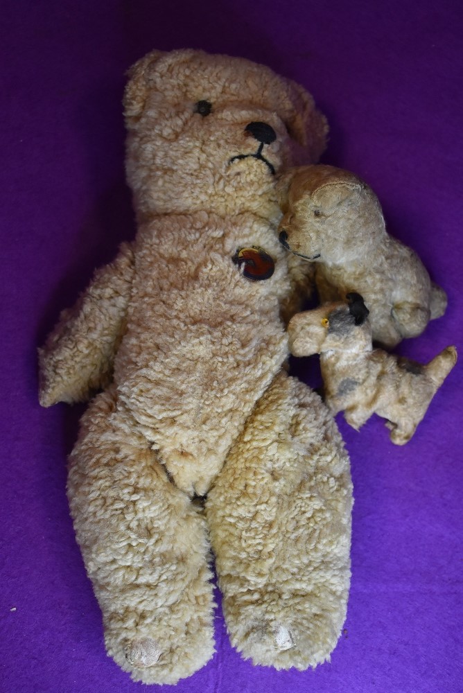 A selection of early 20th century soft toys including a teddy bear and two small dog one in a Scotty