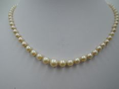 A graduated cultured pearl necklace having silver box clasp, approx 18'
