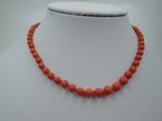 A string of graduated coral beads with yellow metal clasp and safety chain, approx 27' & 26.1g