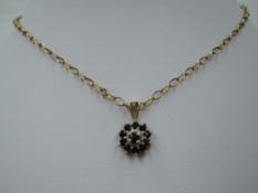 A sapphire cluster pendant in a 9ct gold mount on a 9ct gold belcher chain, approx 22' & 4.1g
