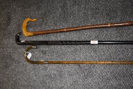 Three gentlemans walking cane including ebony elephant handle , bamboo HM silver knopped and horn