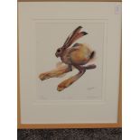 A Ltd Ed print, after M A Rogers, Top Speed, hare study, signed and numbered 265/500, 30 x 26cm,