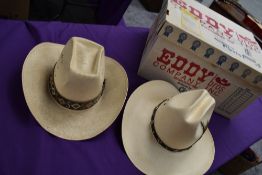 A Resistol Western stetson hat and a Roadrunner stetson hat.