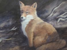 A watercolour, red fox, indistinctly attributed verso, 32 x 46cm, plus frame and glazed