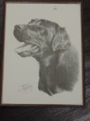 A print, after Sibley, labrador dog, 39 x 29cm, plus frame and glazed, a print, labradors, 14 x