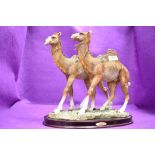 A figure study of a pair of camels from the Juliana collection