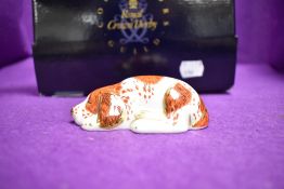 A ceramic paper weight by Royal Crown Derby of a Puppy Dog having Gold stopper and box