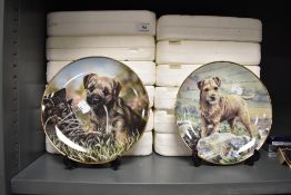 A selection of Border terrier dog display plates by Danbury mint