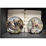 A selection of Border terrier dog display plates by Danbury mint