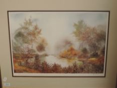 A print, after, Anthony Waller, misty pond, signed, 36 x 52cm, plus frame and glazed