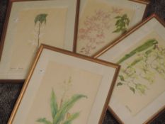 Four watercolours, Sheila Kimber, still life, signed, 35 x 25cm, plus frame and glazed