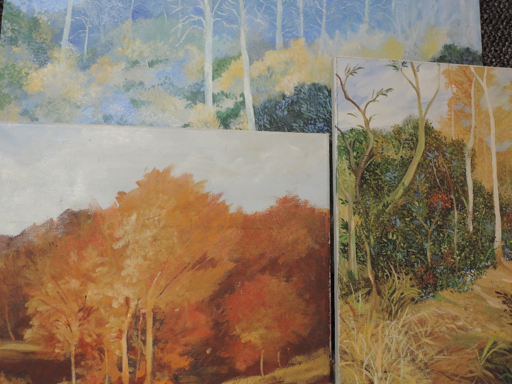 Three oil paintings, Albert Dickens, woodland landscapes, inc autumnal, 50 x 40cm