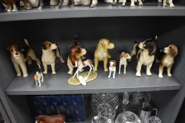 Ten figure studies of dog breeds including hound, spaniel and labrador