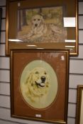 Two full colour prints depicting golden labrador