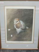 A print, after, Matthew Hillier, Puff a Young Barn Owl, 50 x 37cm, plus frame and glazed