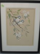 A watercolour, Crank, Blue Tits, signed, 34 x 24cn, plus frame and glazed