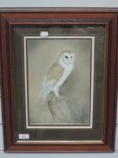 A pastel sketch, R Fletcher, barn owl, signed and dated 1996, 29 x 20cm, plus frame and glazed