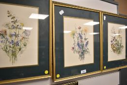 Three botanical plant prints framed and glazed