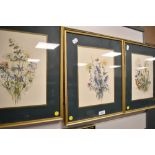 Three botanical plant prints framed and glazed