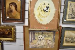 Two full colour prints depicting golden labrador