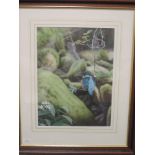 A watercolour, Michael Demain, Kingfisher, signed, 40 x 30cm, plus frame and glazed