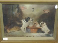 Am oil painting, G Arnfield, dogs study, signed, 29 x 39cm, plus frame and glazed