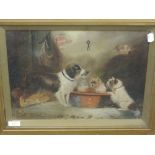 Am oil painting, G Arnfield, dogs study, signed, 29 x 39cm, plus frame and glazed