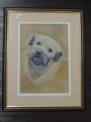 A pastel sketch, Hazel Wilson, Border Terrier, signed and attributed verso, 33 x 23cm, plus frame