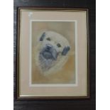 A pastel sketch, Hazel Wilson, Border Terrier, signed and attributed verso, 33 x 23cm, plus frame