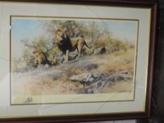 A print, after, David Shepherd, The Two Gentleman of Savuti, 40 x 70cm, plus frame