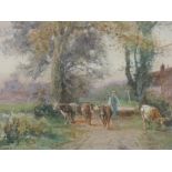 A pair of watercolours, H C Fox, farmsteads and cattle, signed and dated 1905, each 35 x 52cm,