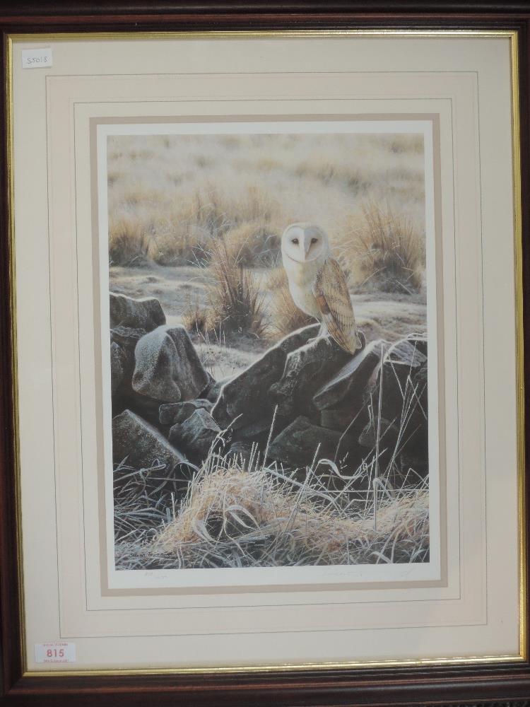 A Ltd Ed print, after Steven Townsend, barn owl, signed and num 312/450, 40 x 30cm, plus frame and