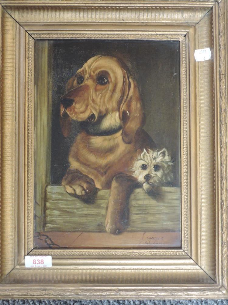 An oil painting on board, Dignity and Impudence, dog interest, 28 x 20cm, plus frame