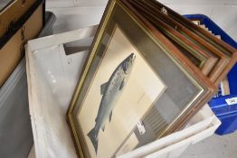 A set of four fish or fishing related prints after Norman Weaver